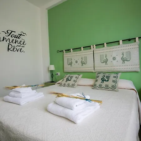 S'arena Dorada Deluxe ألغيرو