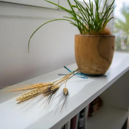 S'arena Dorada Deluxe * ألغيرو